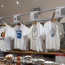 소주카페 이미지