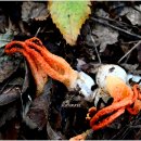 하늘아래 이미지