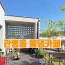 대전 관평동 카페 울댕카페 파쏘 북대전 애견동반