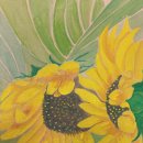 깜헤어샵 이미지