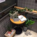 크리스피크림공주