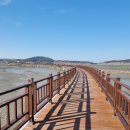 무안황토갯벌랜드 이미지