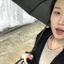 KLC 레거시키친 도시락 조리 및 포장 / Chef&#39;s night 운영 봉사 후기