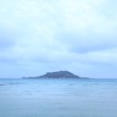 개물목장 | 제주도 3박 4일 자유여행 가볼만한곳 여행코스 수월봉 싱게물공원 금오름 쪼꼴락상회 오설록티뮤지엄...