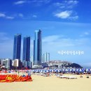 파라솔 이미지