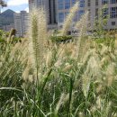 하늘마당 이미지