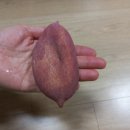 상월명품고구마영농조합법인