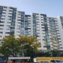 서울남성초등학교 이데일리