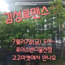 반디마켓