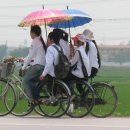 [베트남 풍경] 734 양산쓰고 자전거 타는 베트남 학생들 이미지