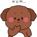 에바돈카츠 성남고등점