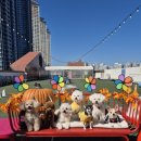 맘에든 유치원 이미지