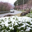 거창-거창-14 이미지