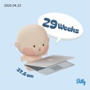 29170-4-A-29 | [임신 29~31주] 임신 후기 일상｜만삭사진 촬영·에뜨와 배냇저고리·수유의자 당근후기