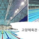 대화문화체육관 | 고양체육관 수영장 완전 정복 | 50m 레인 수영 후기 및 팁 총정리
