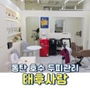 태후사랑 풍암중흥점 | 동탄 호수공원 두피 스케일링 태후사랑