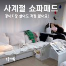 오라이프샵 4인용 쇼파패드, 강아지랑 살아도 걱정없어요! 솔직후기