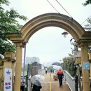 중랑천 제5체육공원 | 제17회 중랑 서울장미축제 방문 후기 : 장미향 가득한 중랑천 산책