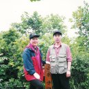 임영춘 Daum카페