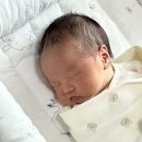 원주 사임당 산후도우미 솔직후기