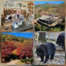 경남탑정비 | 전남 구례 가볼만한곳 | 화엄사 시간 각황전 공양 지리산 반달곰 섬진강스테이