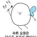 오사카부루스 이미지