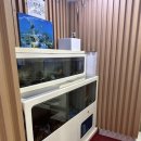 여일정 | 여의도 맛집 여일정 회식장소로 추천하는 해물전골 샤브샤브 맛집