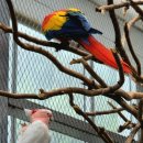 가평베고니아새정원&amp;청평호수길 이미지