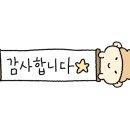 미디어스틴트