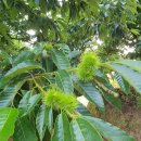 나래농장 이미지