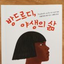 유니언버드 | 소클3: 다른 로빈슨 크루소를 만나다.