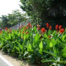 성내천쉼터 이미지