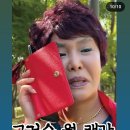 7월 일상 ; 축축하고 싱그러움의 중간 그 어디쯤에서