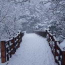 농소중학교 이미지