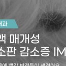 나의 동물메디컬 센터 이미지