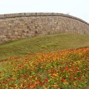 어물농장 이미지