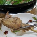 약나무마실 이미지