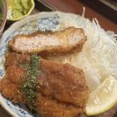 마타아시타 이미지