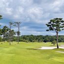 파인스톤컨트리클럽 | 당진 파인스톤 컨트리클럽, 파인스톤 CC
