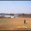 나윤목장 Daum카페