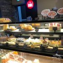 할리스커피속천점 | 진해오션뷰카페 ‘할리스커피 진해속천점’ (리얼벨지안초코케익 & 아포카토 맛집)