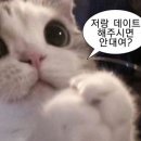 창평시장국밥 이미지