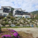서강화농협 삼산지점 | 인천 석모도 강화도 펜션 : 뷰맛집 썬플라워펜션