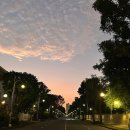 세공 | [공지] Mission #520 블로그 1년 후기, 시간을 세공하다｜금값이 비싸진 진짜 이유