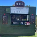 3일차] 3박 4일 태교여행코스(한림칼국수, 파피용살롱드떼, 제주허브동산, 제주동백수목원, 쇠소깍...