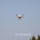 청양공설운동장 이미지