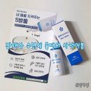 푸른식품 | 푸른거북 블루마이다스 내돈내산 후기 수면부족 불면증 숙면