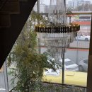 파티25 | 수원 파티웨딩유 25년 12월 예식 후기