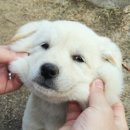 엄마반찬 이미지