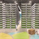 동일농장 이미지